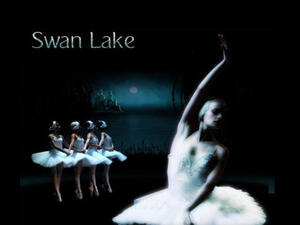 The classical ballet, Swan Lake coming to Dubai