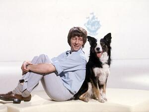 "Get down, Shep!": John Noakes, Blue Peter presenter, with beloved dog Shep.
