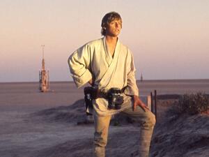 Contemplating the horizon. (Lucasfilm)