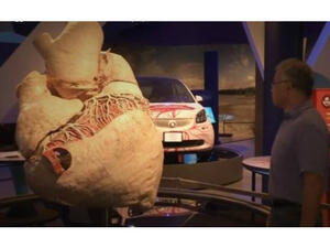 World's biggest heart. (Reuters)