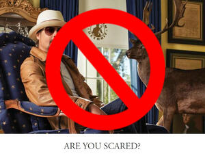 Real-life stops being a satire for two minutes. (KidRockforSenate.com)