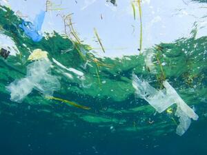 The European Commission is proposing a ban on plastic cotton swabs, cutlery, plates, straws, drink stirrers and balloon sticks. (Shutterstock/ File)