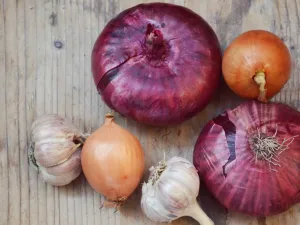 كلما زاد استهلاك خضروات الـallium تعززت فرص الحماية من سرطان القولون