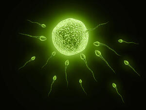 An Egyptian man in Dubai has claimed that his wife misused his sperm (Image for illustrative purposes: Credit: Shutterstock)