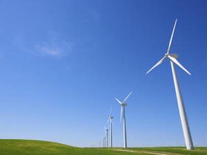Do energy subsidies stifle innovation and hurt society in the long run?