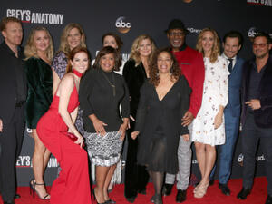 Grey's Anatomy is officially coming back for Season 15! (Source: Kathy Hutchins - Shutterstock)