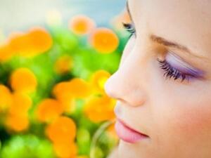 ربيع هادئ بظلال حيوية