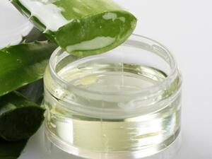 لوسيون للجسم بالصبار