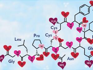 "هرمون الحب" الأوكسيتوسين