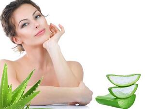 الصبار افضل علاج لمشاكل البشرة 