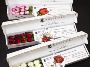 ما يعني لون الورود بين العشاق؟