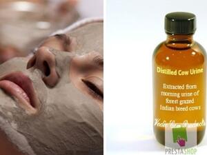 خصائص علاجية لبول البقر