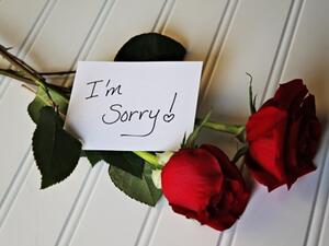 قول كلمة أسف لا يكفي