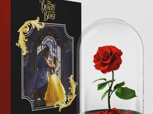 وردة بيلا المسحورة اصبحت حقيقة 