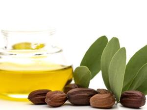 ملطف الزيوت الطبيعية للشعر