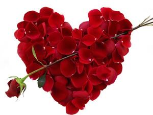 الورود لن تبقى طويلا ولكن تأثيرها سيبقى للأبد