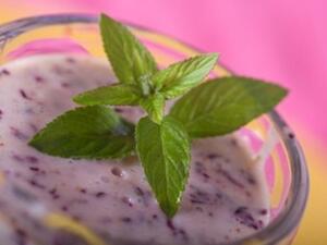 مخفوق التوت الصحي