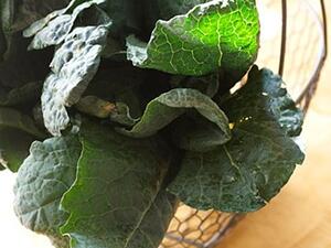 رقائق شبس أوراق اللفت بالصويا والسمسم رقائق شبس أوراق اللفت بالصويا والسمسم