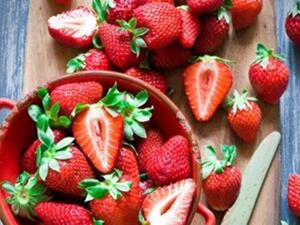 الفراولة  الفراولة