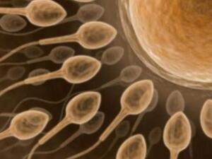 صورة توضيحية  صورة توضيحية