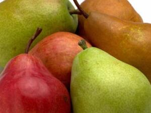 الاجاص او الكمثرى غنية بالنشويات والبروتين والفيتامينات