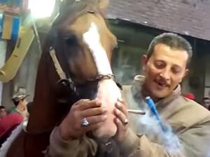 (Youtube Screengrab)