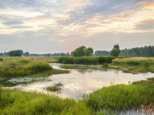 It is located 140 kilometres south of Amman, bordered to the west by the West Bank, according to the RSCN. 