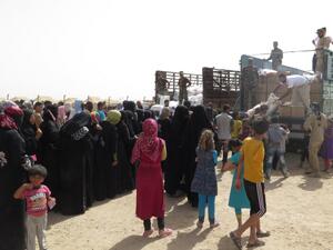 Displaced Iraqi families, who fled their homes in Fallujah due to fighting between Iraqi government forces and Daesh, queue for food rations and other emergency supplies on June 6, 2016. (AFP/Ahmad Mousa)