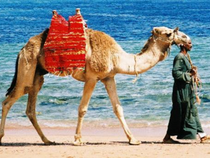 The World Islamic Travel Summit will focus on the theme of  "driving the Halal tourism revolution" (File Archive/ AFP).
