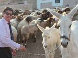 Shibli Haddad poses at a local farm. (Facebook)