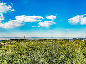 Ajloun forrest in Jordan. (shutterstock) 