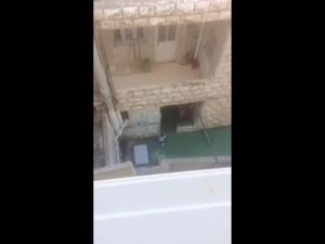 "I could not imagine that my daughter would be subjected to this type of violence." (YouTube)