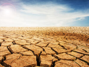 Iraq's Meteorological Department said the 54 degree Celsius weather recorded in Kuwait the hottest reliable temperature ever recorded. (Shutterstock)