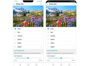 يتضمن الهاتف الجديد شاشة عرض كاملة «فول فيجن» بدقة كيو إتش دي+ (3120×1440 بكسل).
