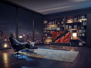 أول تلفزيون OLED قابل للطي