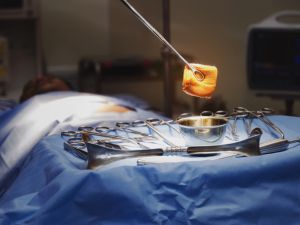 (Shutterstock/ File Photo)