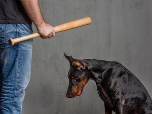 (Shutterstock/ File Photo)