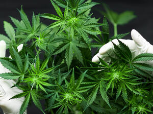 (Shutterstock/ File Photo)