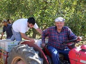 Like many other Lebanese apple farmers, Akl has been struggling with crop wastage, an issue locally known as the “apple crisis.” (The Daily Star)