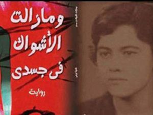 غلاف الرواية 