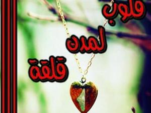 قلوب لمدن قلقة للأديبة دينـا سليم