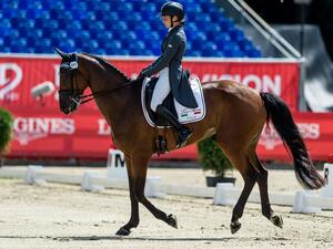 World Equestrian Games Tryon  (Twitter)