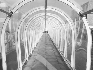 This plastic tunnel in Cornwall is a highly-rated tourist attraction (Twitter)