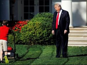 Maybe it was the little boy mowing the lawn (Twitter)