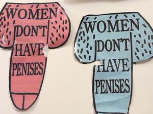 Transphobic abuse (Twitter)