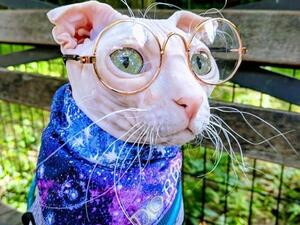 Mr Dobbs (Instagram)