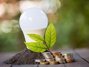 The UAE is working to create a more sustainable and energy-efficient country, but the success of these initiatives depends on household consumption. (Shutterstock)