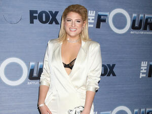 Meghan's dad isn't the only one involved as Meghan has got the whole family on board. (Source: Kathy Hutchins - Shutterstock)