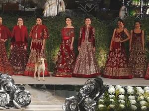Glitzy Fashion Show in India. (Twitter)