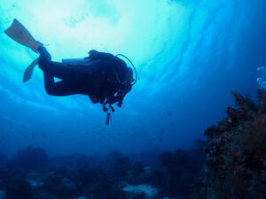 (Shutterstock/ File Photo)